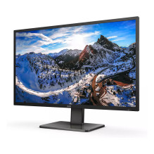 Philips P Line 439P1 / 00 computer monitor