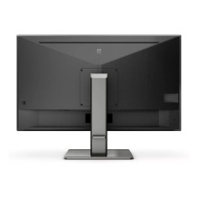 Philips P Line 439P1 / 00 computer monitor