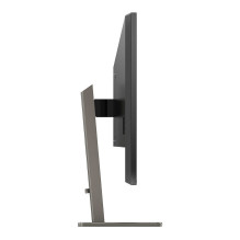 „Philips P Line 439P1/00“ kompiuterio monitorius