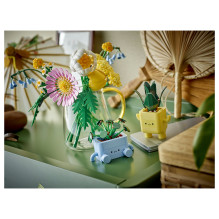 LEGO Botanicals Happy Plants LEGO Botanicals Happy Plants
