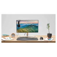 Kensington K97457WW ausinės