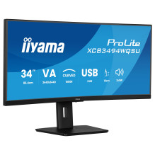 iiyama ProLite...