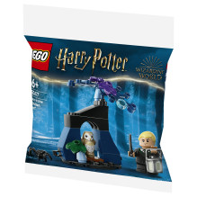 LEGO Harry Potter Draco Uždraustajame miške LEGO Harry Potter Draco Uždraustajame miške