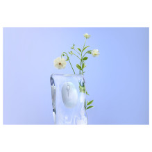 ASUS Fragrance MD101 pelė