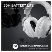 „Logitech G 981-001269“ ausinės „Logitech G 981-001269“ ausinės