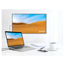 Manhattan 190305 laptop dock / port replicator
