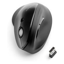 Kensington Pro Fit mouse