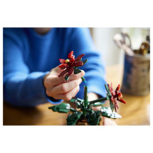 LEGO Botanicals puansetija LEGO Botanicals puansetija