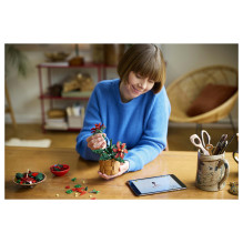 LEGO Botanicals Poinsettia LEGO Botanicals Poinsettia