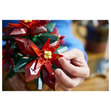 LEGO Botanicals Poinsettia LEGO Botanicals Poinsettia