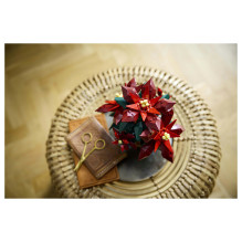 LEGO Botanicals Poinsettia LEGO Botanicals Poinsettia