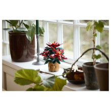 LEGO Botanicals Poinsettia LEGO Botanicals Poinsettia