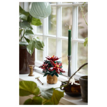 LEGO Botanicals Poinsettia LEGO Botanicals Poinsettia