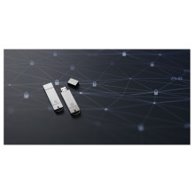 Kingston Technology IronKey S1000 USB flash drive
