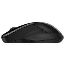 HP 250 Dual mouse