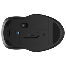 HP 250 dviguba pelė