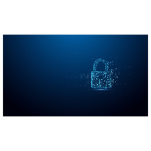 „Kingston Technology IronKey D500S“ USB atmintinė