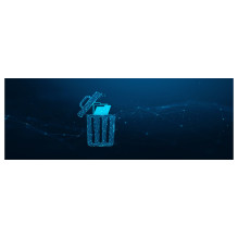 Kingston Technology IronKey D500S USB flash drive