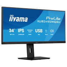 iiyama ProLite...