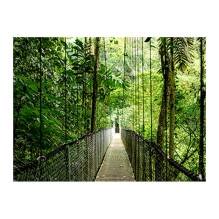 HP EliteBook 6 G1i AI
