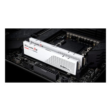 G.Skill F5-6000J2836G32GX2-RS5W memory module G.Skill F5-6000J2836G32GX2-RS5W memory module