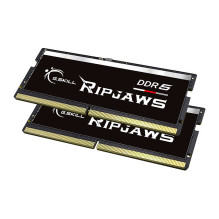 G.Skill Ripjaws F5-4800S4039A32GX2-RS atminties modulis