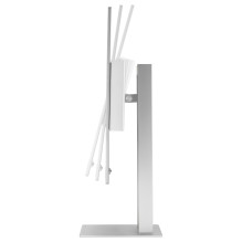 ASUS ProArt OLED PA32UCDM kompiuterio monitorius