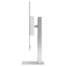 ASUS ProArt OLED PA32UCDM kompiuterio monitorius