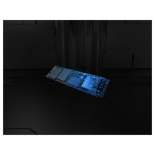 „Kingston Technology FURY Renegade G5“