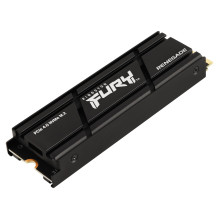 „Kingston Technology FURY Renegade“