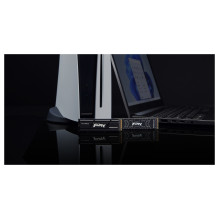 „Kingston Technology FURY Renegade“