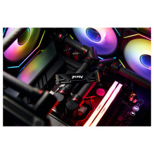Kingston Technology FURY Renegade G5