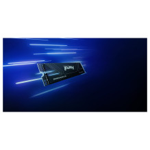 Kingston Technology FURY Renegade G5