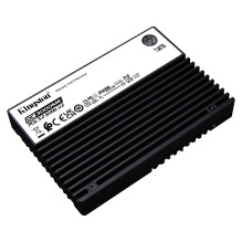 Kingston Technology DC3000ME