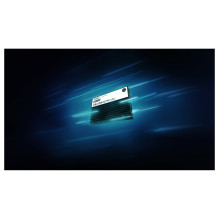 Kingston Technology DC3000ME