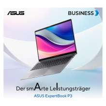 ASUS ExpertBook P3 P3605CVA-MB0024X
