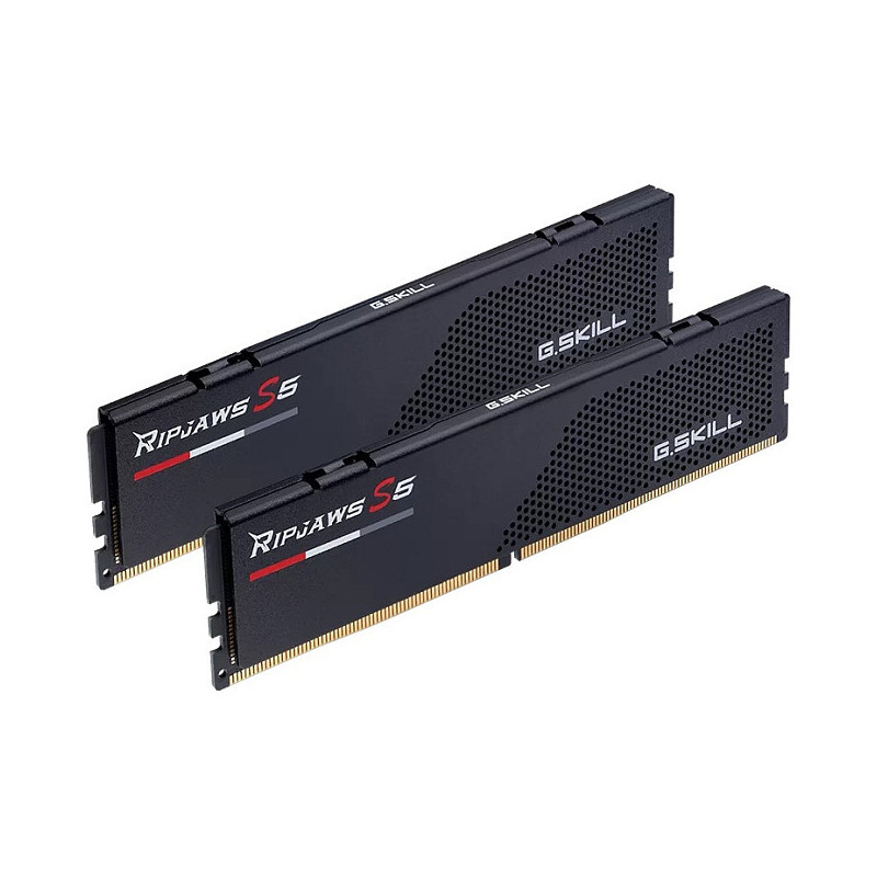 G.Skill F5-6000J3636F16GX2-RS5K atminties modulis