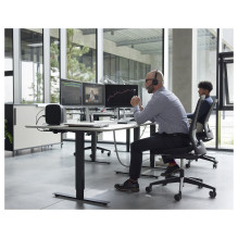 HP Elite t755 HP Elite t755