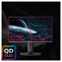 MSI MPG 271QRXDE QD-OLED kompiuterio monitorius