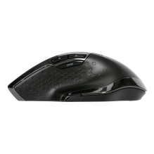 Targus AMW584GL mouse Targus AMW584GL mouse