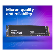 Crucial P510