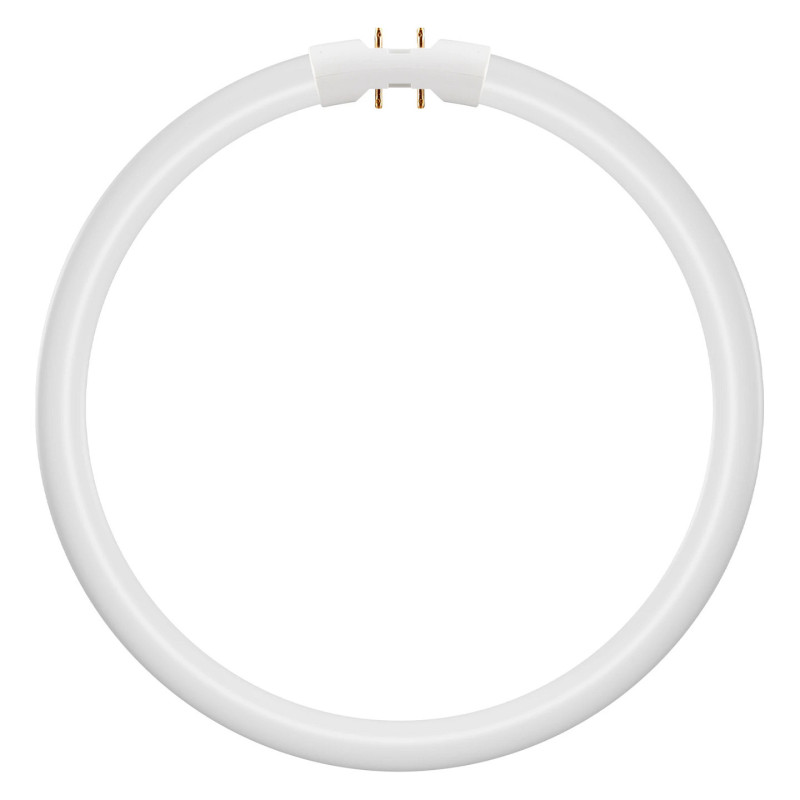 „Bailey Electric Electronics“ 146565 LED lemputė