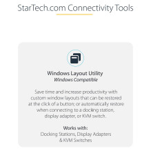 „StarTech.com“ MST14DP123DP vaizdo skirstytuvas