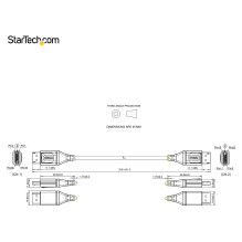 StarTech.com DP14VMM1F DisplayPort cable