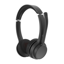 „Conceptronic POLONA04B“ ausinės