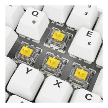Sharkoon SGK50 S4 keyboard Sharkoon SGK50 S4 keyboard