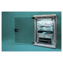 Digitus DN-1019 rack cabinet Digitus DN-1019 rack cabinet