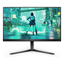 Philips Evnia 3000 25M2N3200U / 00 computer monitor