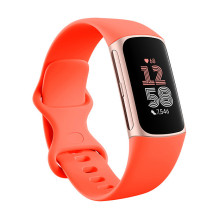 „Fitbit Charge 6“