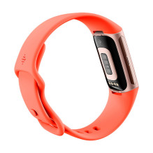 „Fitbit Charge 6“